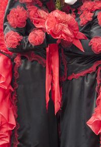 Carnaval Remiremont 2013