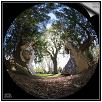 img.01_01 (16_00380)